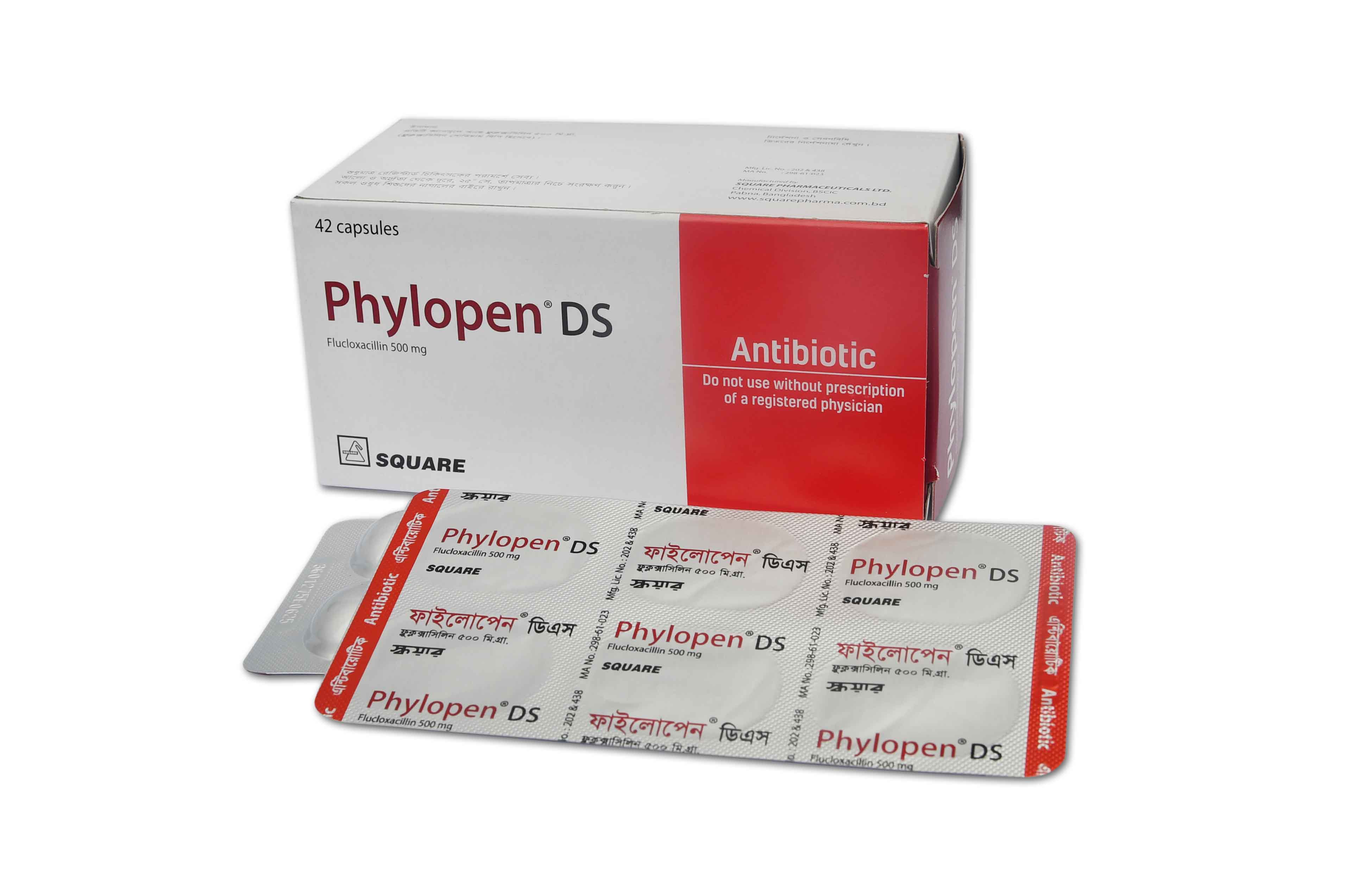 Phylopen DS